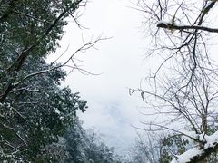 -西岭雪山大飞水景区