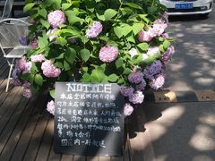 -灯塔咖啡馆BOOK·Coffee Shop