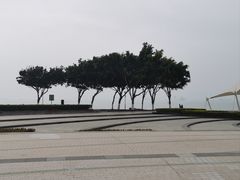 -音乐广场