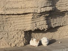 -敦煌雅丹国家地质公园