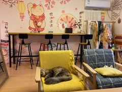 -Sweet cat·星愿猫咖(国贸大厦店)