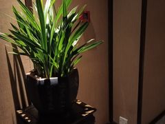 -足本纪·足道 SPA 简餐 小吃(文三西路店)