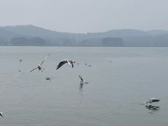 -水上明月·湖景餐厅
