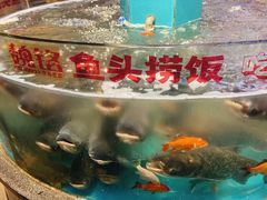 -魏铭鱼头捞饭(晋阳路店)