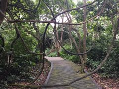 iphone_upload_pic-广西龙虎山风景区