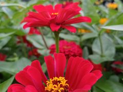 -长春公园(普阳街道)