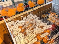 -蓝湾碧波·老字号·疍家非遗海上餐厅