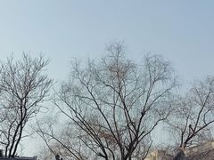 -文瀛公园