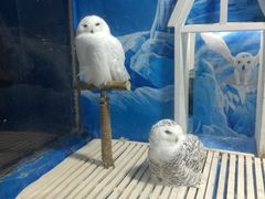 -成都浩海立方海洋公园