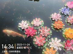 -上海东林寺(金山区)