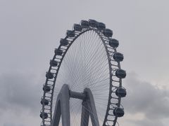 -致璞ZHIPU Rolling on(青岛极地店)