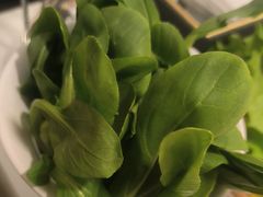 -椰子湾·海南火锅·糟粕醋·椰子鸡(正大广场店)