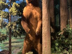 -陕西自然博物馆