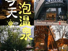 -地中海传奇水汇