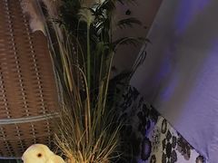 -东方之珠洗浴休闲广场(于家堡店)