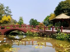 -广州莲花山旅游区