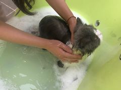-萌兽医馆·眼科·异宠专科(三里屯店)