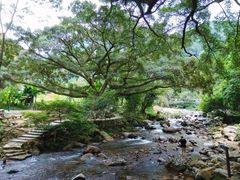 景点-广州市石门国家森林公园