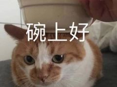 -赛卡联盟WSK卡丁车俱乐部