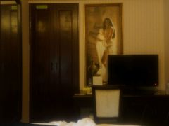 -维也纳国际酒店(深圳新洲店)