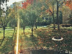 -中国银行江苏省分行培训中心