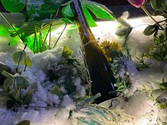 -BOTTEGA意库(中骏世界城店)