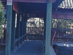-阳台山自然风景区