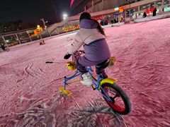 -沈阳奥体冰雪嘉年华