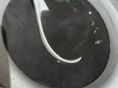 -华盛丰温州大排档(东三环南路店)