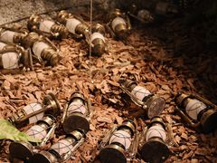 -J Create城市露营咖啡·简餐·宠物(上海动物园店)