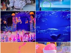 -海合安武汉极地海洋公园