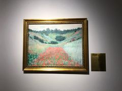 -印象莫奈时光映迹艺术展