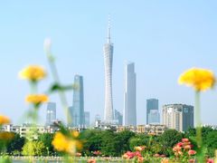 -海珠湖公园