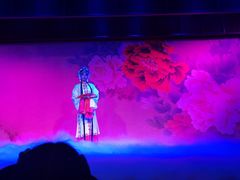 -盖碗儿梨园·变脸吐火·川剧(天府广场店)