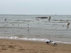 -老虎石海上公园