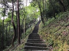 -严子陵钓台(富春江小三峡)