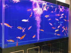 水产区-澜悦港海鲜体验主题餐厅
