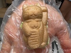 -莉莉熊Lililove Gelato (意大利手工冰淇淋)