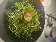 -凤凰湘语(浦东旗舰店)