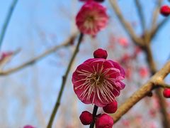-广富林郊野公园