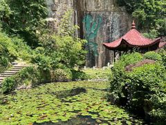 -莫干山风景区
