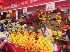 -越秀西湖花市(广州城市广场花卉店)