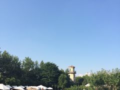 -上海东方佘山翰悦阁酒店·Vie全日制餐厅