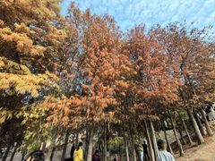 -厦门园林博览苑