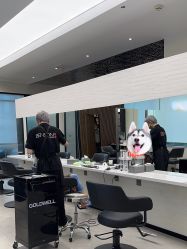 点击看大图 -意廊 Hair Salon
