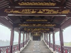 -长广溪湿地公园