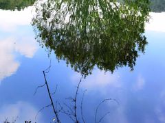 -贵阳市花溪国家城市湿地公园