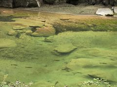 -山西壶关太行山大峡谷旅游景区