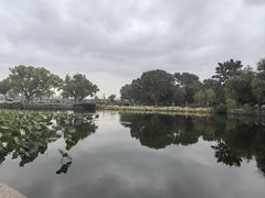 -无锡蠡湖国家湿地公园-蠡园