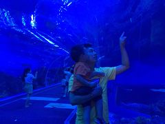 -成都浩海立方海洋公园